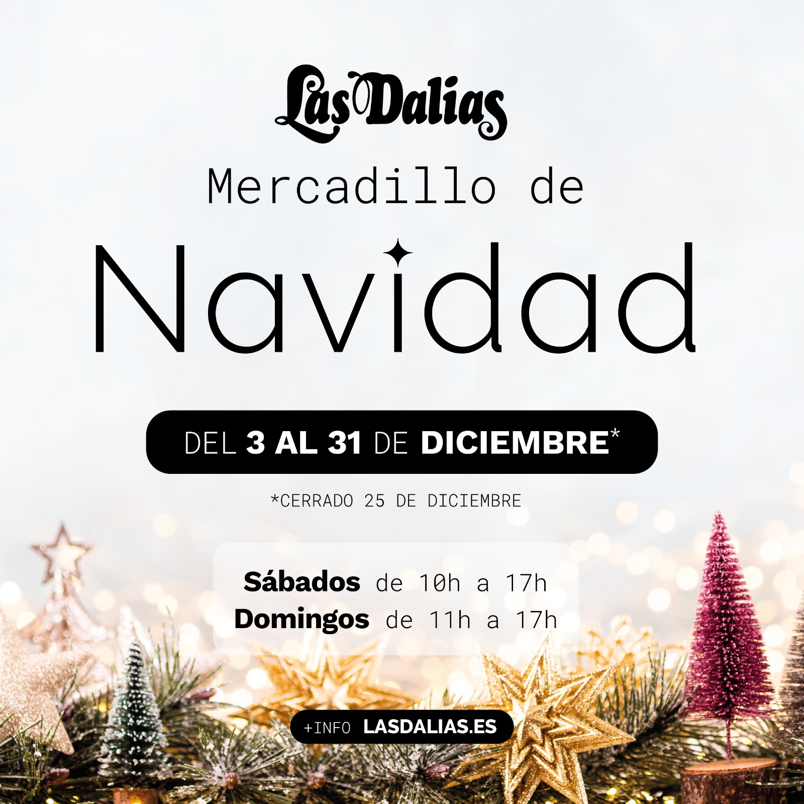 Las Dalias-mercadillo Navidad-22-23